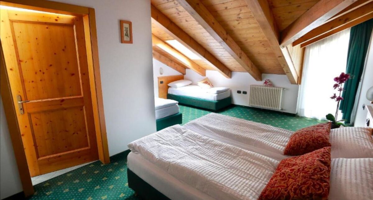 Alphotel Dolomiti Włochy - Hotel