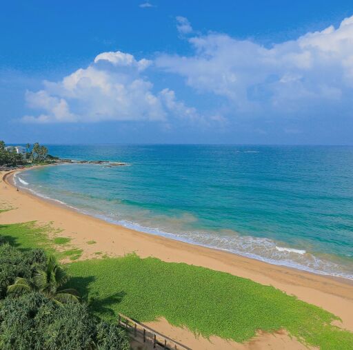 Pandanus Beach Resort and Spa    Sri Lanka - Hotel
