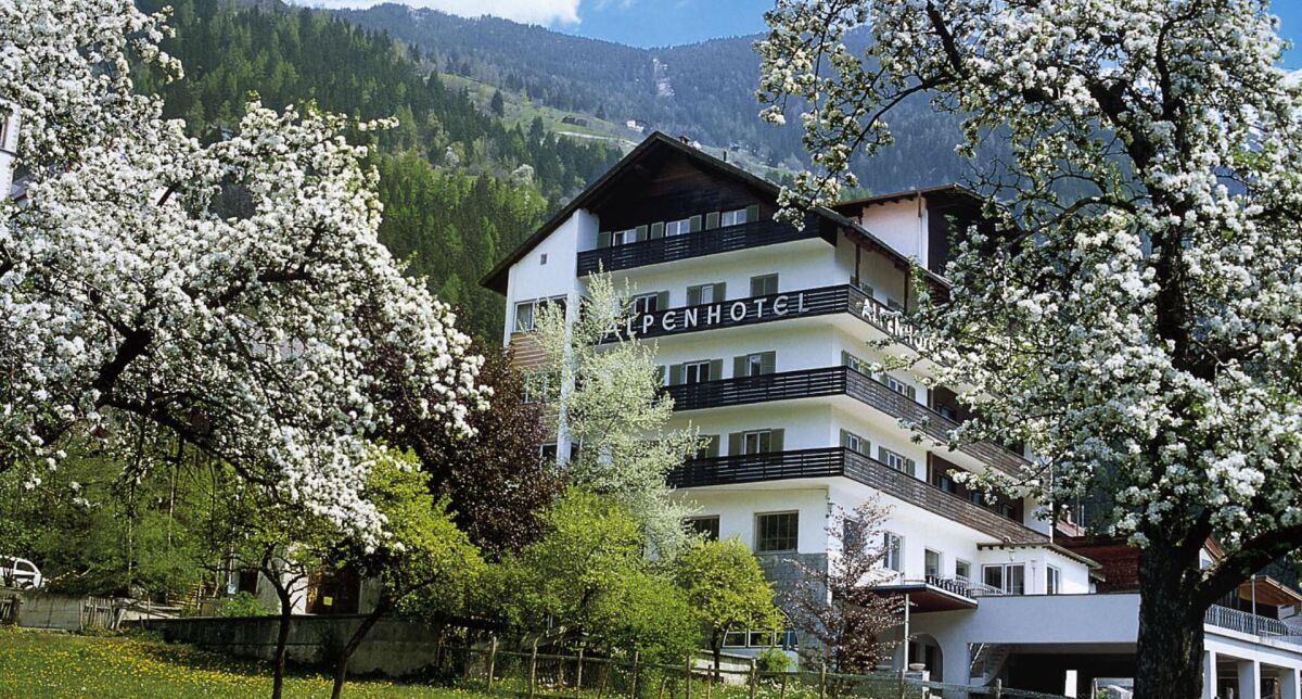 Alpenhotel Oetz Austria - Hotel