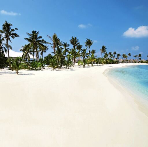 Safari Island Resort Malediwy - Hotel