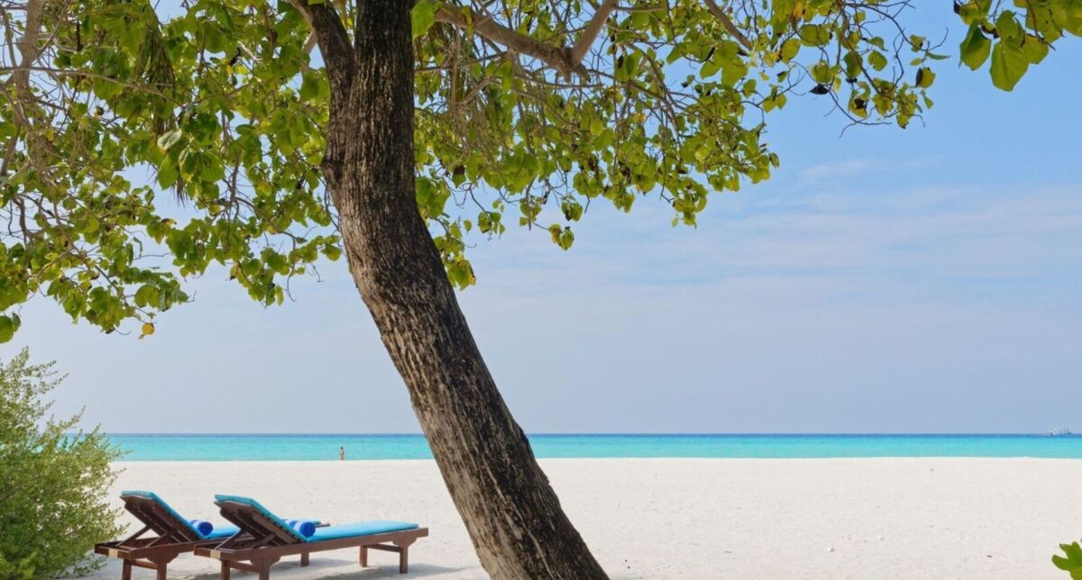 Villa Park, Sun Island Malediwy - Bungalow na plaży superior