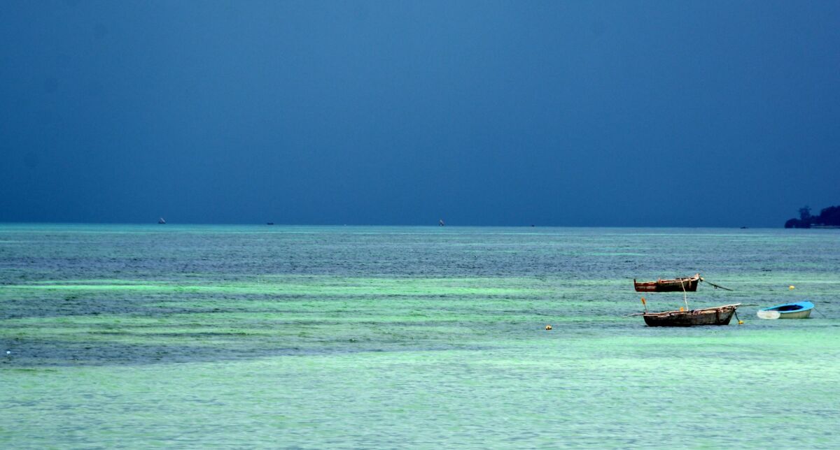 PalumboReef Beach Resort Zanzibar Zanzibar - Hotel